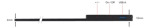 Monitor Portátil Verbatim 14 Pulgadas Pantalla Táctil Fullhd