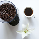 Molinillo De Cafe Oster Mh23 Gris