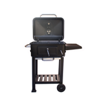 Parrilla BBQ Grill a Carbon Linea Campo XS