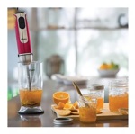 Mini Pimer Batidora Oster Quad Blade High Power 2801