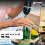 Multiprocesadora Minipimer Suono Batidora Licuadora De Mano