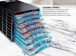 Deshidratador de Alimentos Gadnic 8 Bandejas 630W