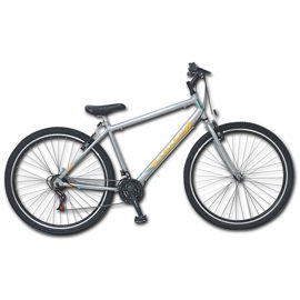 Bicicleta Gris Techno Rodado 29
