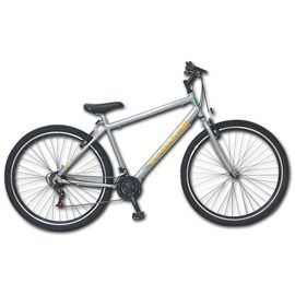 Bicicleta  Gris Techno Rodado 29