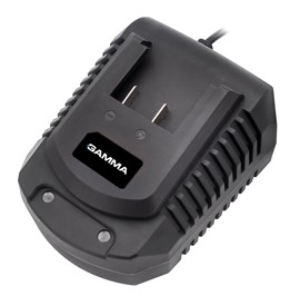 Cargador De 20V Rápido G12492ar