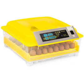 Incubadora De Huevos Automática