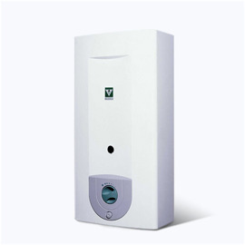 Calefón 313Brv 12 Litros Por Minuto Piezoeléctrico