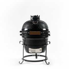 Mini 13
