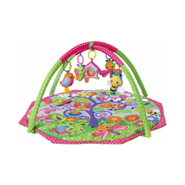 Bugs And Bloom Activity Gym 