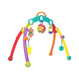 Gimnasio De Bebe Fold And Go Playgym