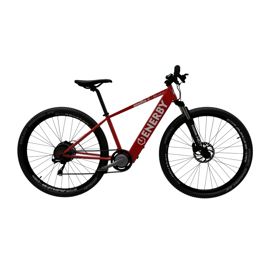 Bicicleta Eléctrica Enerby Magnet R29 Color Rojo E...