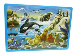 Puzzle Fauna Antartica Rompecabezas Animales