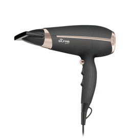 Secador De Pelo Ion Expert By550