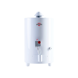 Termotanque A Gas  Tpgp050msh13 De Pie 50 Litros