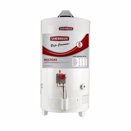 Termotanque A Gas By Rheem De Pie 50 Lts C. Superio...
