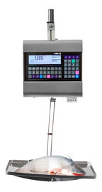 Balanza Comercial Report Nxf2 15Kg Sr Tcp 2Mb Colga...