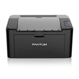Impresora Laser P2500 Usb Color Negro