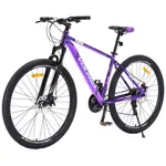 Bicicleta MTB PRO600 - R29, T18
