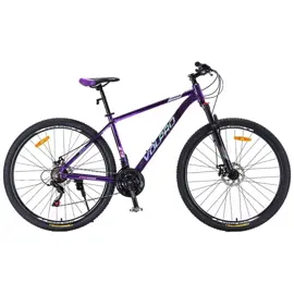 Bicicleta Mtb Pro600 R29, T18'', 2...