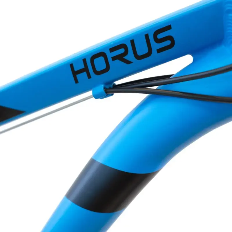 Bicicleta Mountain Bike Horus Rodado 29 Azul Negro RANDERS
