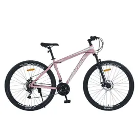 Bicicleta Mtb  Q5 R29 , 21V Con Shi...