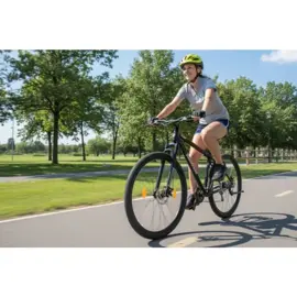 Bicicleta Rodado 29 T18 Mount...