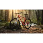 BIC PRO200 R29T20 RO/GR/BL. VOLPRO