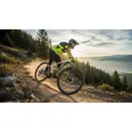 Bicicleta MTB PRO700 - R29, TALLE 18 Blanca, Negra y Verde VOLPRO