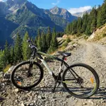 Bicicleta MTB BYNOX Summit Aluminio R29 Talle M Negro-Verde HE-MBMM29-NV