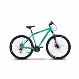 Bicicleta Mountain Bike Rodado 29