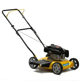 Cortadora De Césped Gs20 F450  Moto...