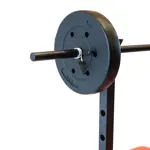 Banco Multiestacion Randers Dorsalera Pesas ARG-150-X