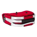 Canasta Lunchera Termica Plegable Picnic Rojo