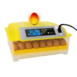 Incubadora De Huevos Automática