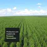 Juego De Comedor Medelin Madesa Con 6 Sillas