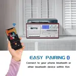 Tocadiscos LoopTone TR18CD 9 en 1 Bluetooth Radio
