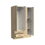 PLACARD 24 MILENIAL EXPRESS - BAMBU                         