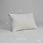 Almohada Nube Ag + (positivo) Hipoalergenica 50x70cm