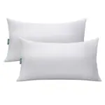 Combo x2 Almohadas de fibra Nativa Armonía 70x40