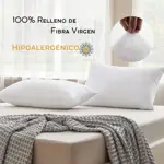 Set X2 Almohadas Piero Darling 70x40cm