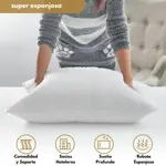 Set X2 Almohadas Piero Darling 70x40cm