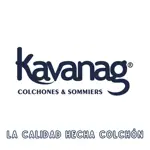 Colchón Meridia Espuma Alta Densidad 45 Kg c/visco- King 200x200x30 cm