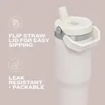 Pajita plegable Stanley IceFlow 2.0 de acero inoxidable, 900 ml