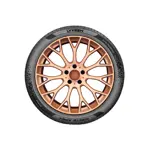 Cubierta 225/40 R18 92Y AGNITE APEX Lykeen