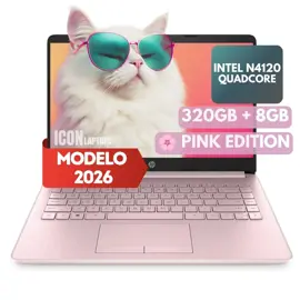 Stream Rosa Intel N4120 Disco 320G...