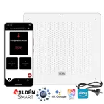 Panel Calden 1000 Watt con Termostato Smart