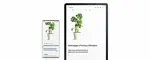 Tablet Samsung Galaxy Tab S6 Lite 10.4" 128GB WiFi S Pen reacondicionada