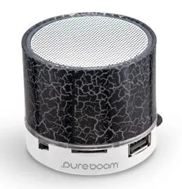 Parlante Inalámbrico Pure Gear Pock...