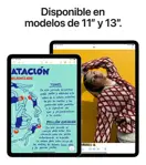 iPad Air 13 Apple Wi-fi + 4G 256GB Space Grey MCJ54LE-A