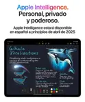 iPad Air 13 Apple Wi-fi + 4G 256GB Space Grey MCJ54LE-A